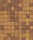 Тротуарные плиты "ЛА-ЛИНИЯ" - Б.3.К.6 (Коллекция "Листопад") 100x100 ''ВЫБОР'' - Осень