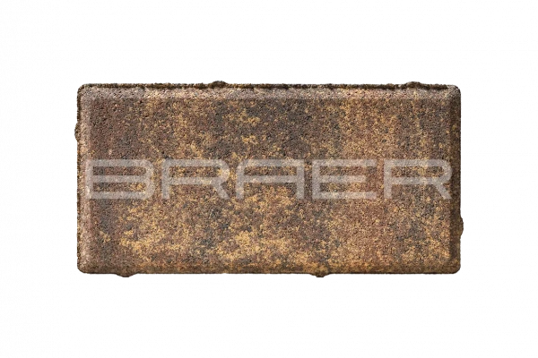 Тротуарная плитка BRAER Прямоугольник, Color Mix Мальва, 40 мм Тротуарная плитка BRAER Прямоугольник, Color Mix Мальва, 40 мм