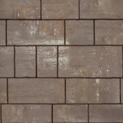 Тротуарная плитка Steinrus Инсбрук Тироль, 60 мм, ColorMix Сепия, гладкая