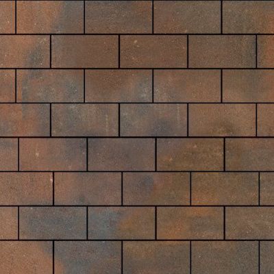 Тротуарная плитка Steinrus Прямоугольник, 60 мм, ColorMix Штайнрус, гладкая Тротуарная плитка Steinrus Прямоугольник, 60 мм, ColorMix Штайнрус, гладкая