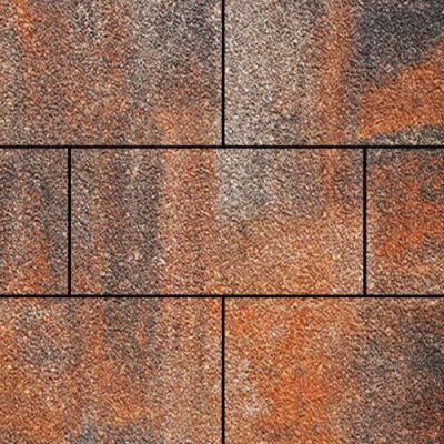 Тротуарная плитка Steinrus Парк Плейс, 60 мм, ColorMix Рей, Native Тротуарная плитка Steinrus Парк Плейс, 60 мм, ColorMix Рей, Native