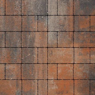 Тротуарная плитка Steinrus Новый город Лион, 60 мм, ColorMix Рей, гладкая Тротуарная плитка Steinrus Новый город Лион, 60 мм, ColorMix Рей, гладкая