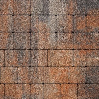Тротуарная плитка Steinrus Инсбрук Альт Брик, 60 мм, ColorMix Рей, Old-Age Тротуарная плитка Steinrus Инсбрук Альт Брик, 60 мм, ColorMix Рей, Old-Age