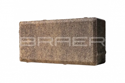 Тротуарная плитка BRAER Прямоугольник, Color Mix Прайд, 60 мм Тротуарная плитка BRAER Прямоугольник, Color Mix Прайд, 60 мм